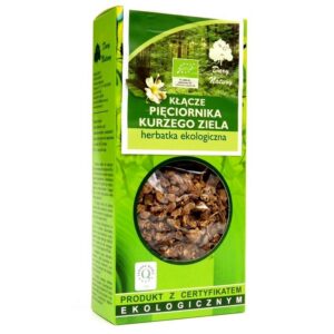 KŁĄCZE PIĘCIORNIKA KURZEGO ZIELE 100G DARY NATURY